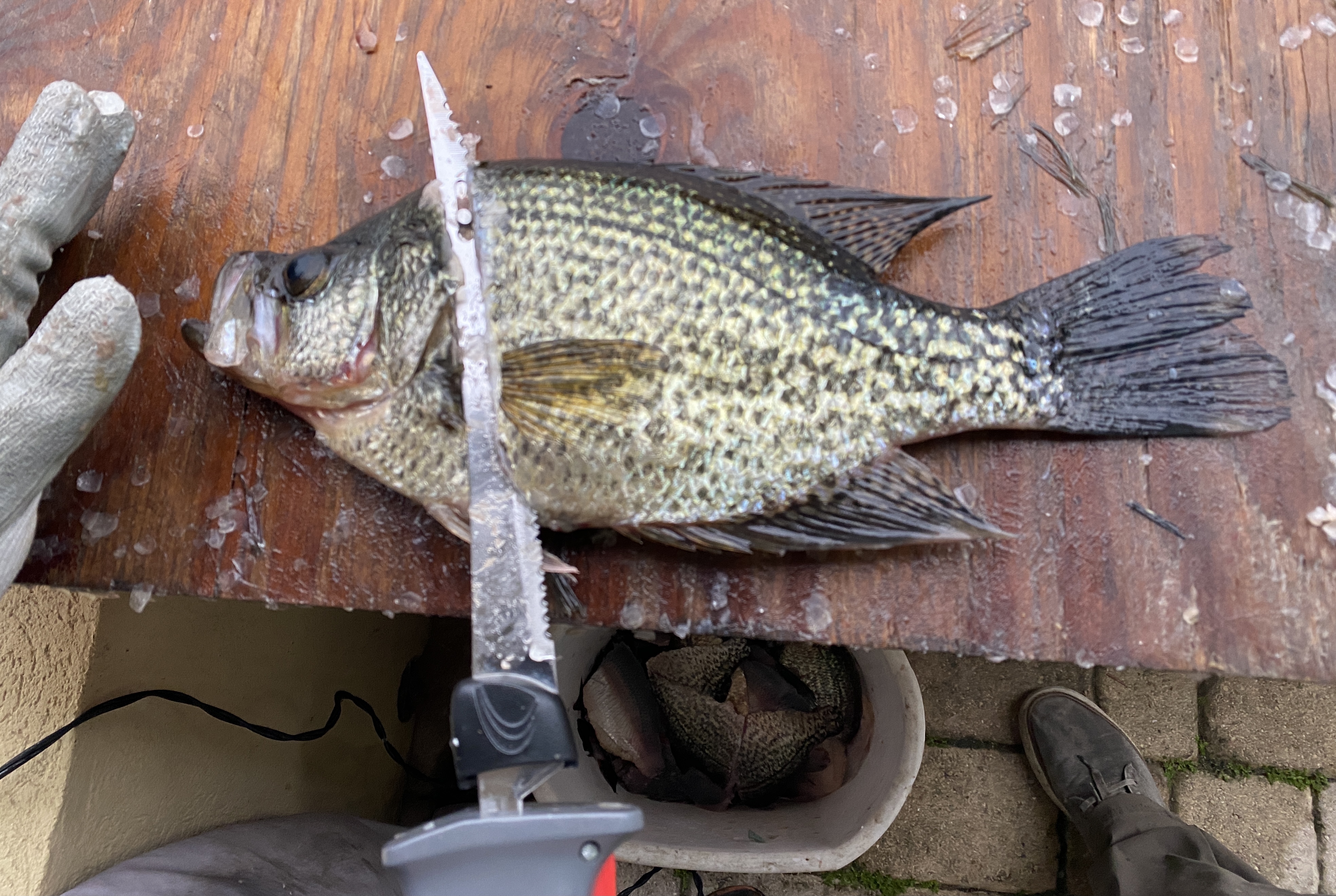 How To Fillet Crappie With An Electric Knife