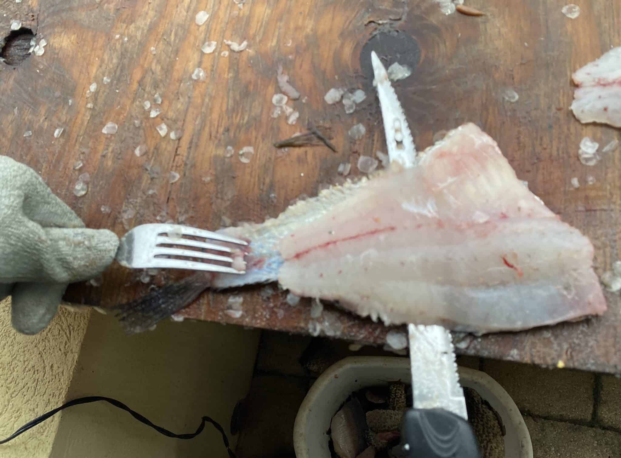 How to fillet crappie with an electric knife step by step w pics