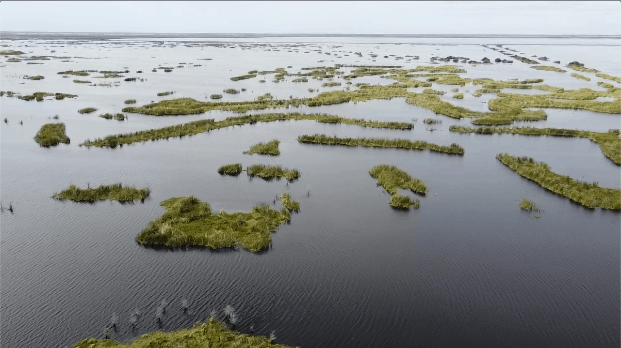 Headwaters Lake Florida - The Complete Fishing Guide • Panfish Nation