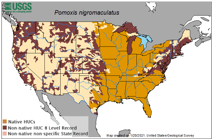 Black Crappie Distribution Map