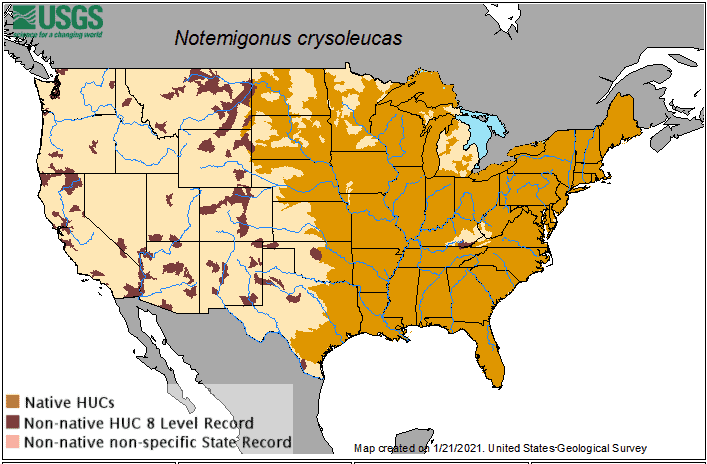 Wild Shiner distribution Map