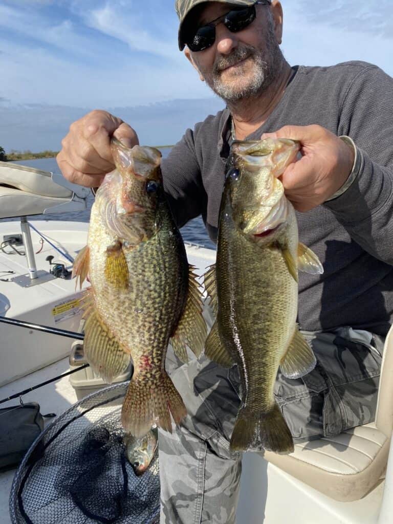 Black Crappie and Largemouth Bass