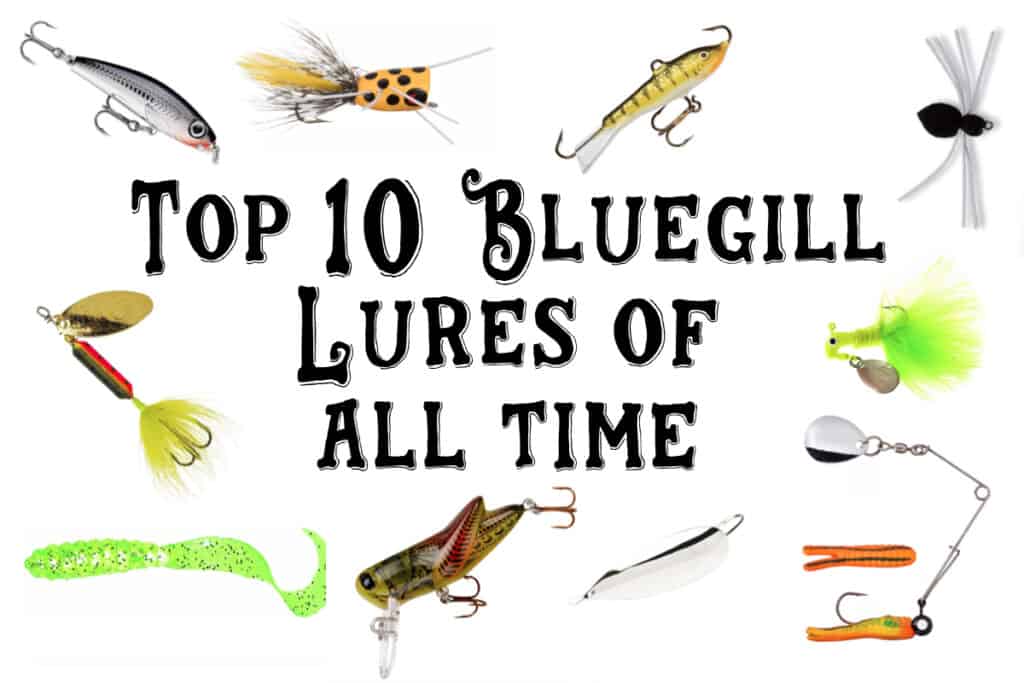The Top 10 BEST Lures For Bluegill (W/Tips!)