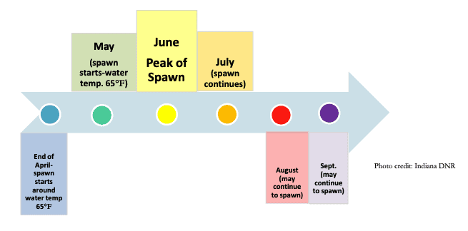 Redear Sunfish Spawning Season