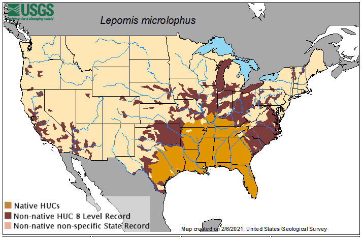 Shell Cracker Distribution Map