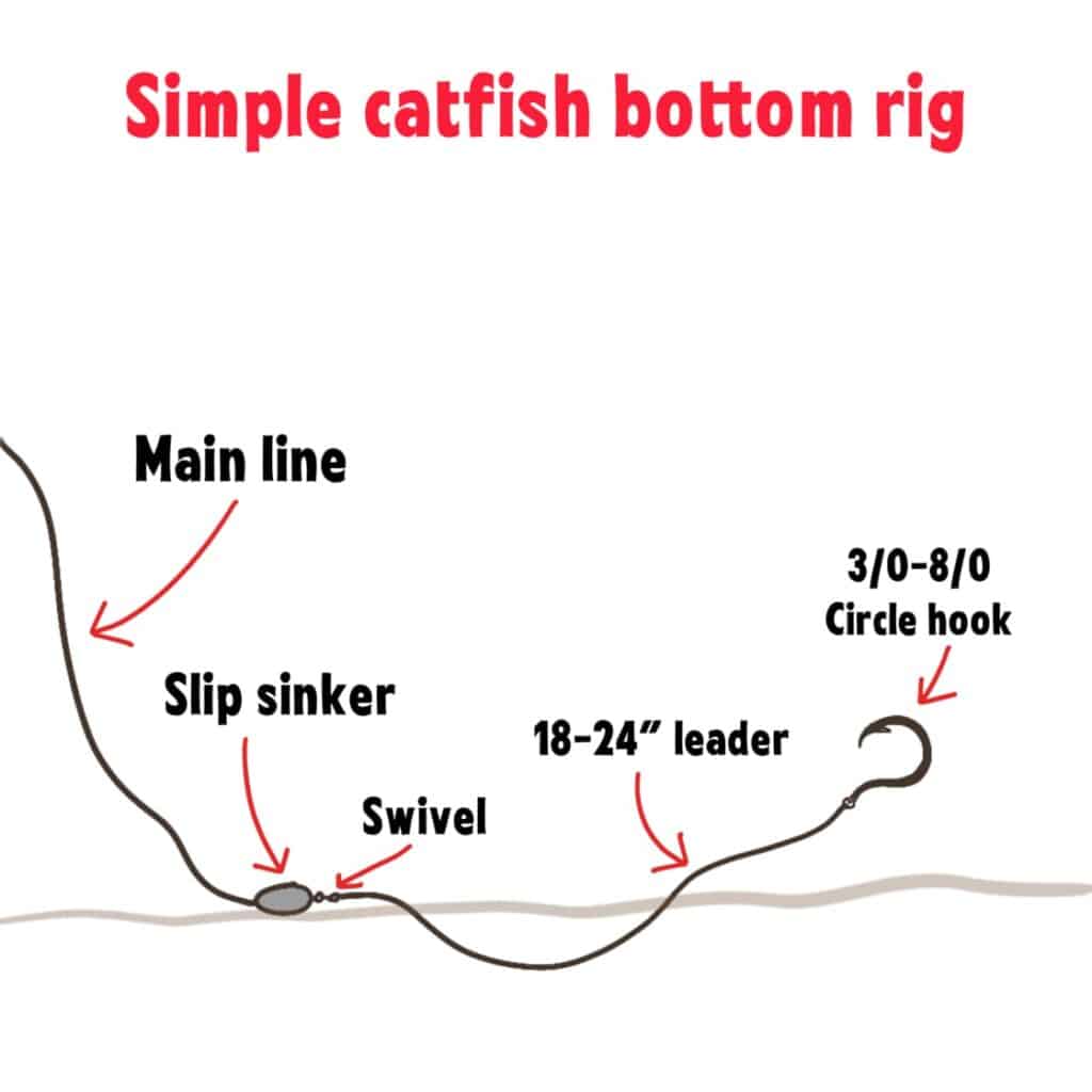 How to Catfish bottom rig