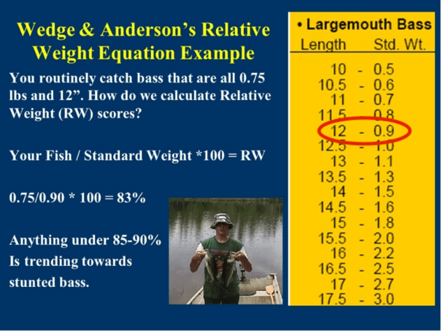 largemouth bass relative weight chart