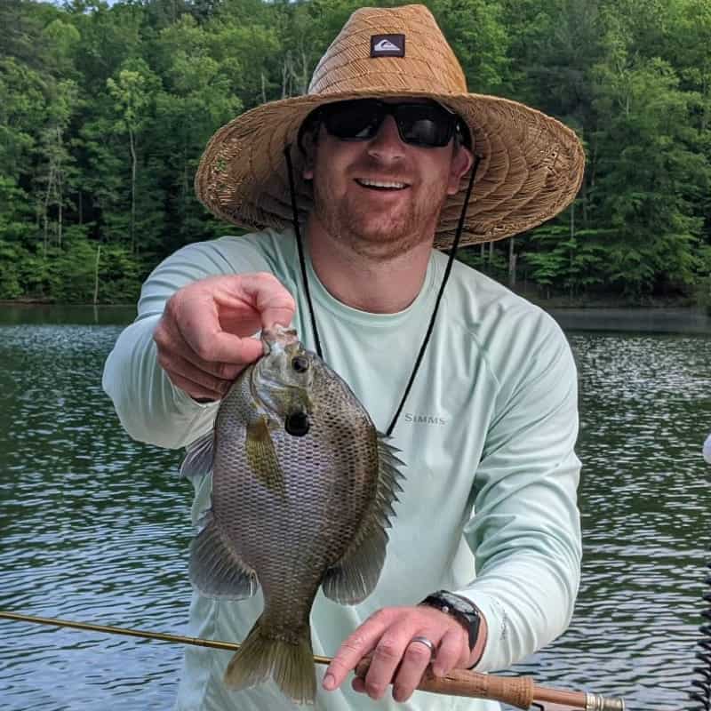 Big Pond Bluegill caught on Flyrod