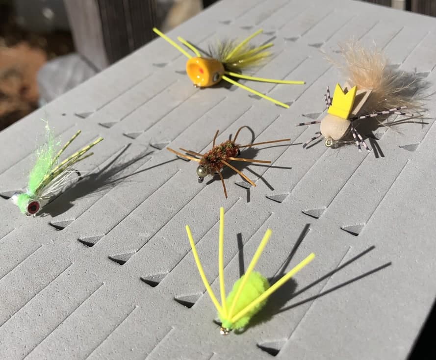 Back left- Boogle Bug Popper #8, Back right: Transfoamer Tan #6, Middle: Girdle Bug Jig, Front Left: Bluegill Mini Slider #8, Front Right: Bully Bluegill Spider #10.