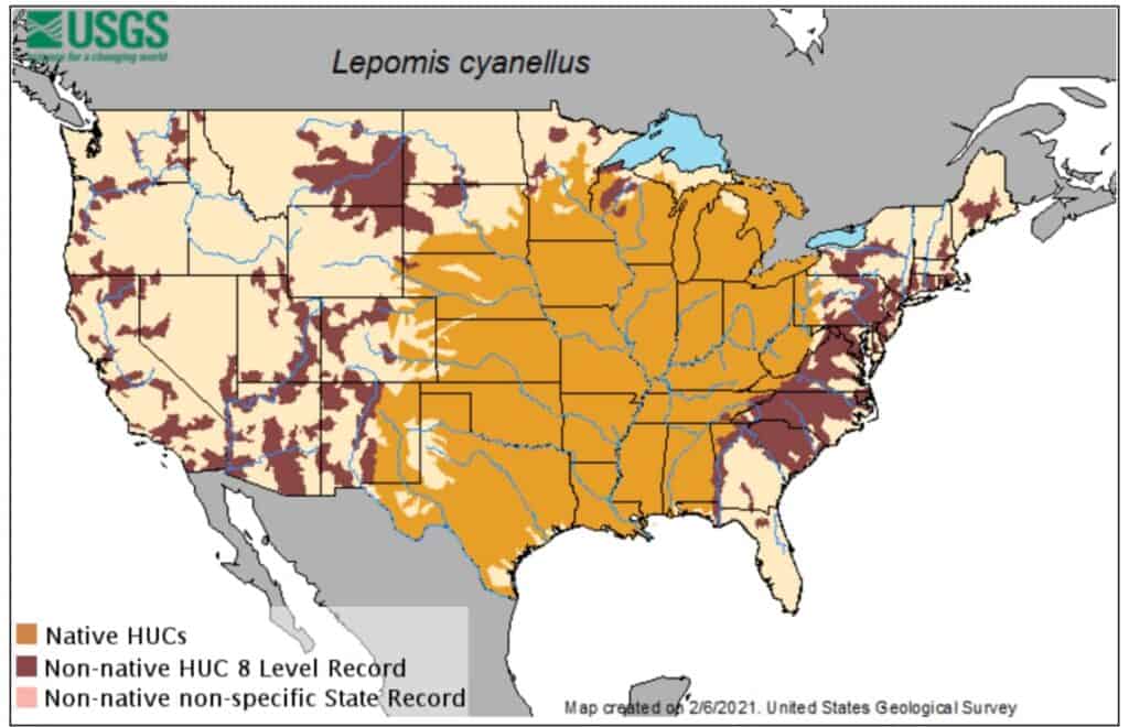 Distribution of the Green Sunfish