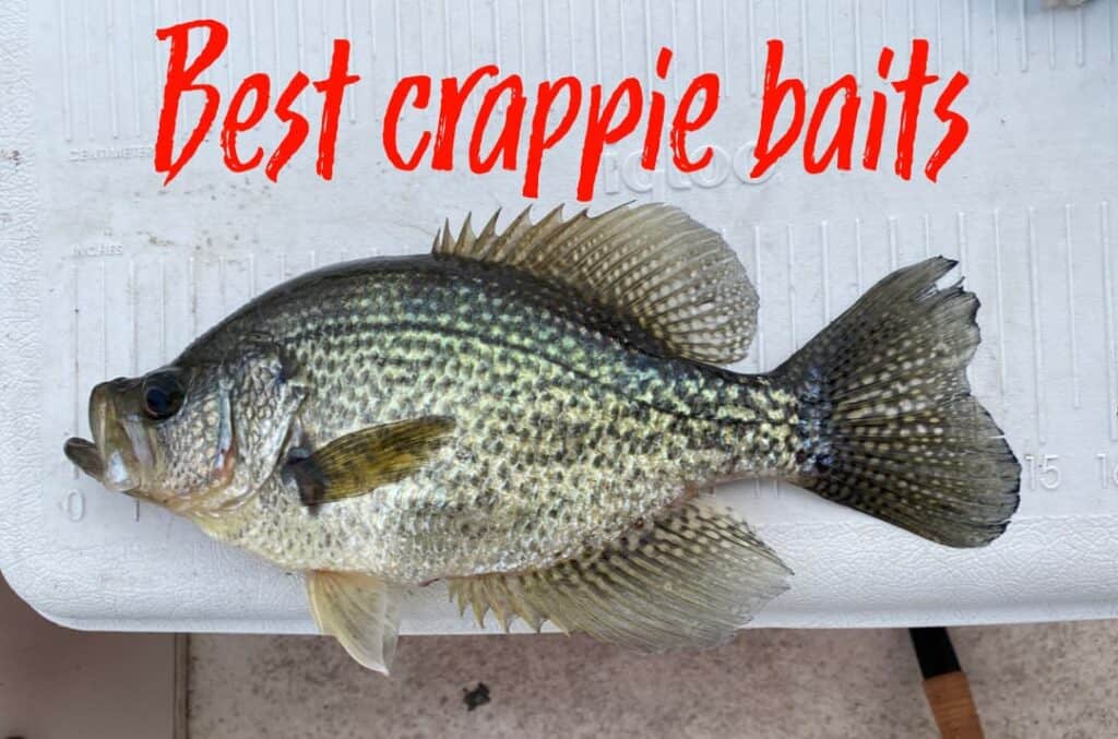 Best Crappie Baits