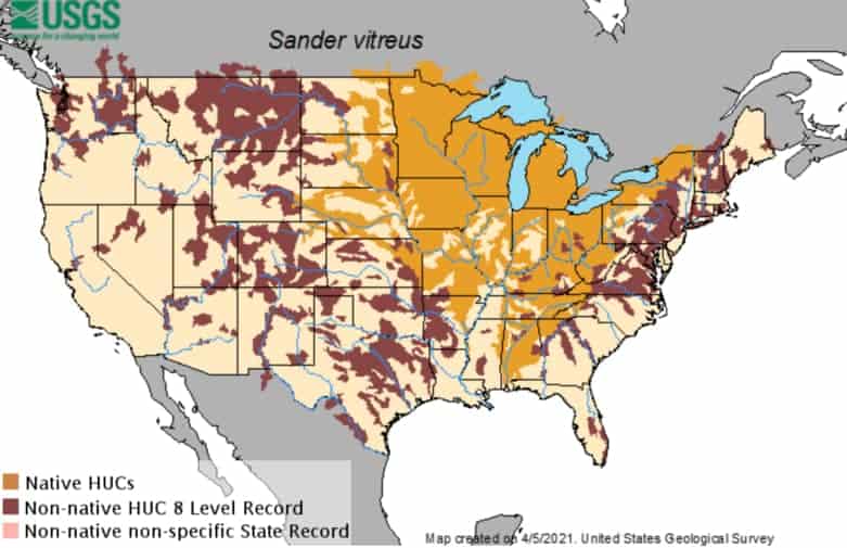 fishing planet walleye locations map