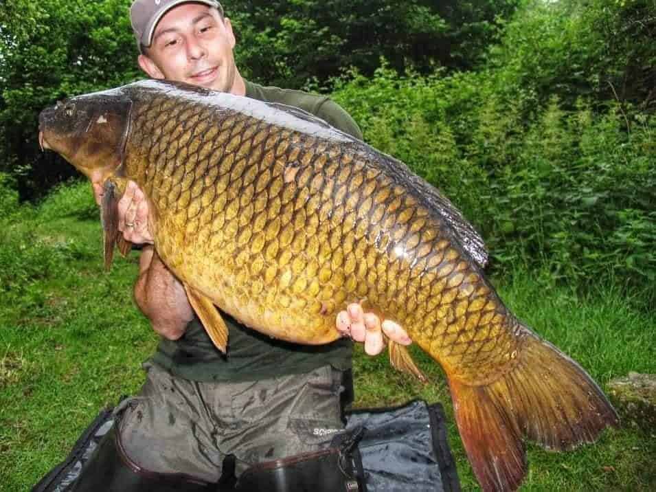 What Do Carp Eat? 5 Of The Best Baits Revealed. • Panfish Nation - Webp.net Resizeimage 2021 04 18T152536.277