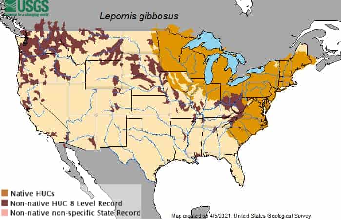 Pumpkinseed fish distribution map