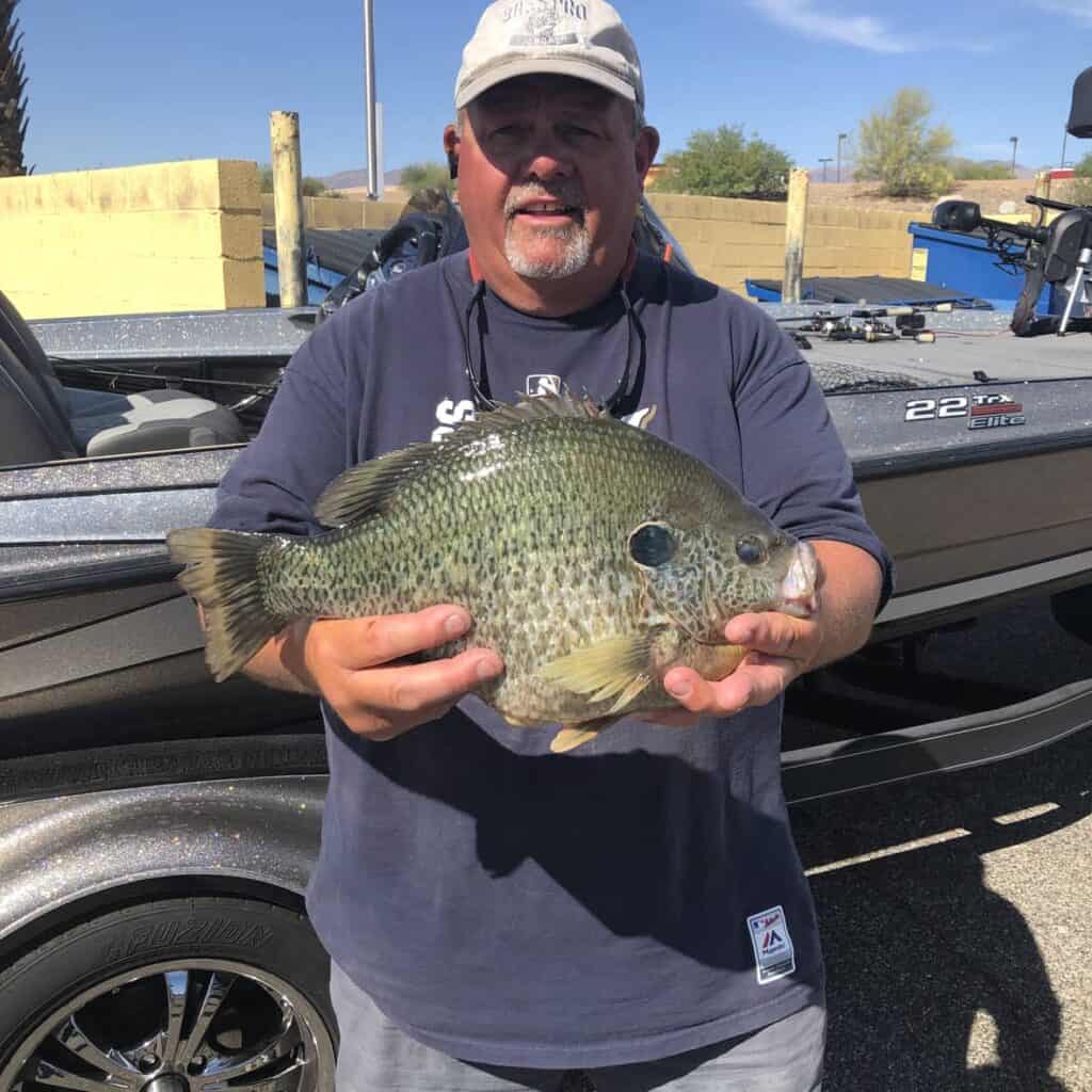 New World Record Redear Sunfish (Shellcracker) It's A GIANT! • Panfish