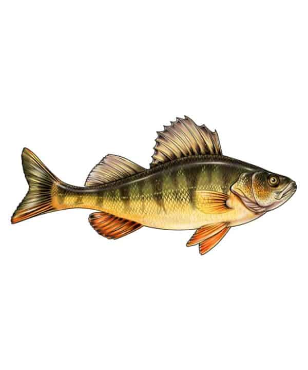 thumbnail image 2 of Cool CRAPPIE Fish Sticker For Your Car Or Tackle Box – Perfect For Panfish & Perch Fans! 5x3.25 Glossy Vinyl 2 of 4