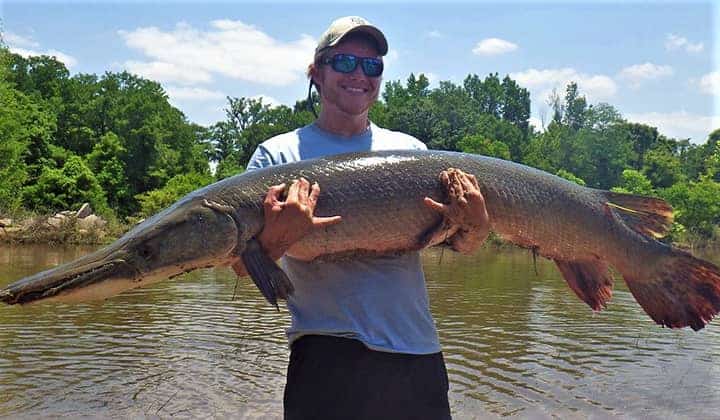 Alligator Gar Lake Livingston