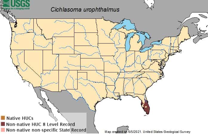 Mayan Cichlid Location Map