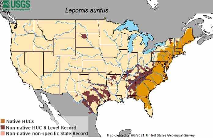 Redbreast Sunfish Distribution Map