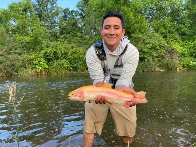 Palomino Trout