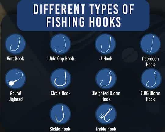 Different Types of Fishing Hooks Chart