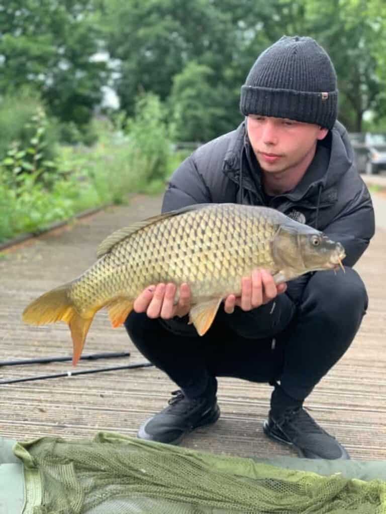 Grass Carp vs Common Carp