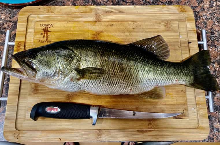 Are Largemouth Bass Good To Eat? & Should You Keep Them? • Panfish Nation