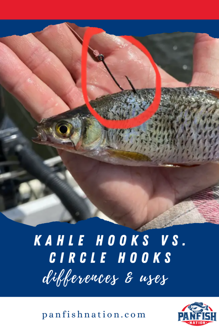 Kahle Hooks vs Circle Hooks - Differences & Uses • Panfish Nation