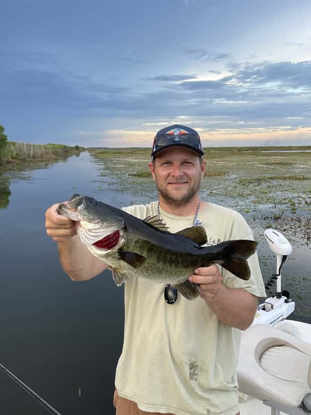 Largemouth Bass Caught on a J-hook (drop shot rig).