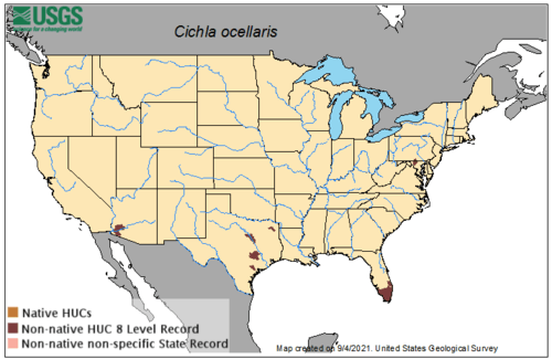 Peacock Bass Distribution Map