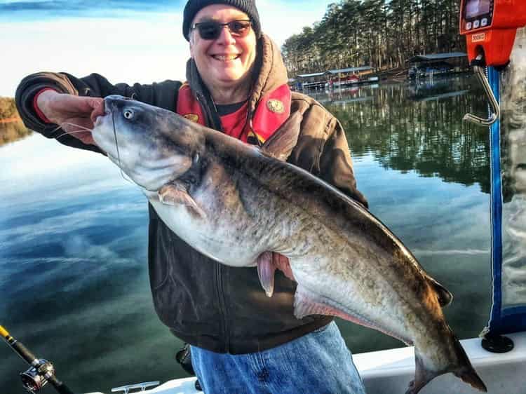 Do Catfish Bite in Cold Weather?