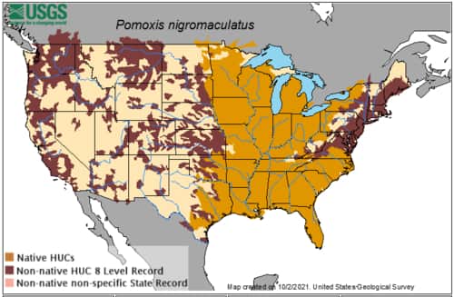 Black Crappie Distribution Map