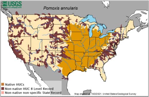 White Crappie Distribution Map