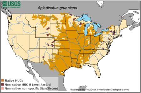 Freshwater Drum native range