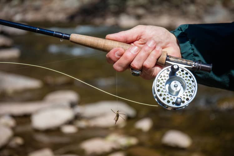 The 5 Best Fly Fishing Combos For Beginners