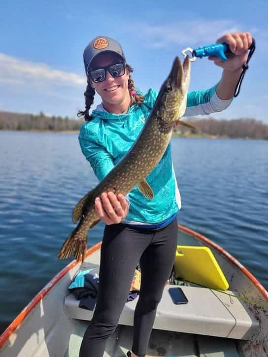 Are Northern Pike Good To Eat? You May Be Surprised! • Panfish Nation