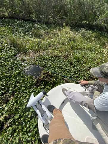 Fishing heavy cover for Florida Specks