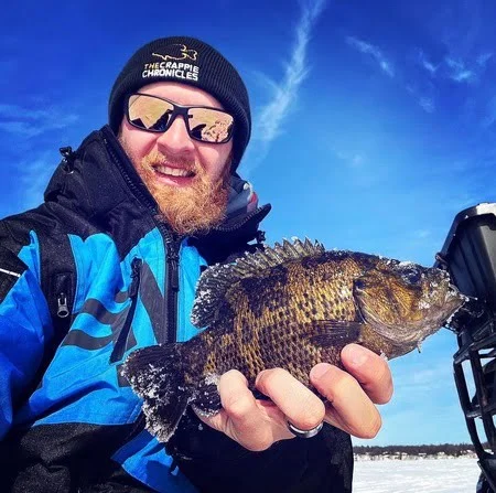 Rock Bass caught in the Minnesota Ice