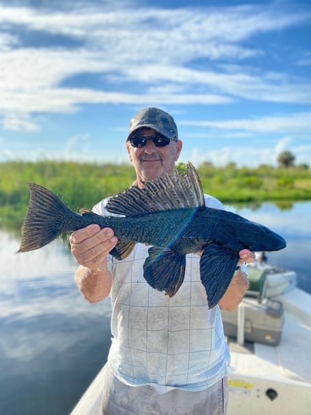 Can You Eat Armored Catfish? You May Be Surprised!