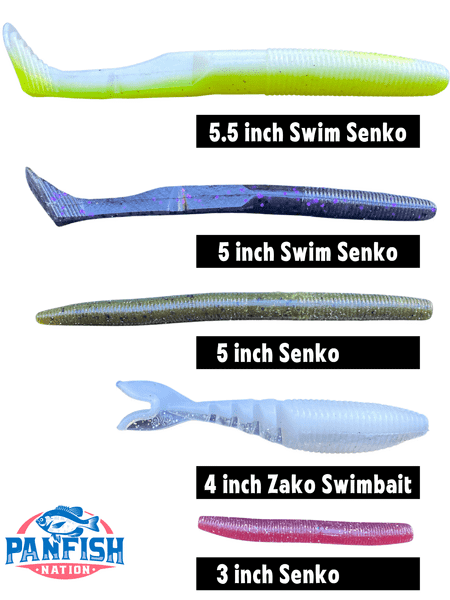 Different Types Of Senko Worms