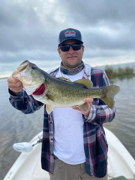 Largemouth Bass caught on Alabama Rig
