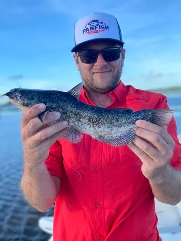 A nice eater size brown bullhead catfish