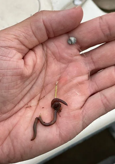 Bluegill hook with worm