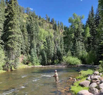 Trout fishing a the Florida River in Durango Colorado