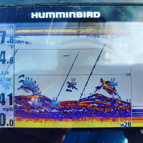 This is what a school of crappie looks like during the winter on fish finder