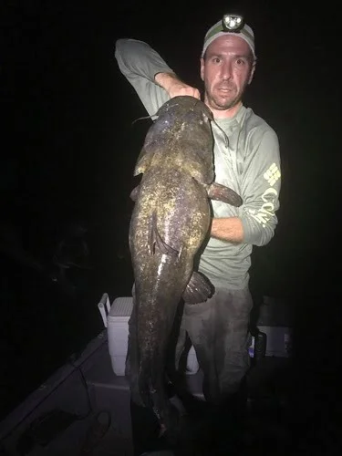 Are Flathead Catfish Good To Eat