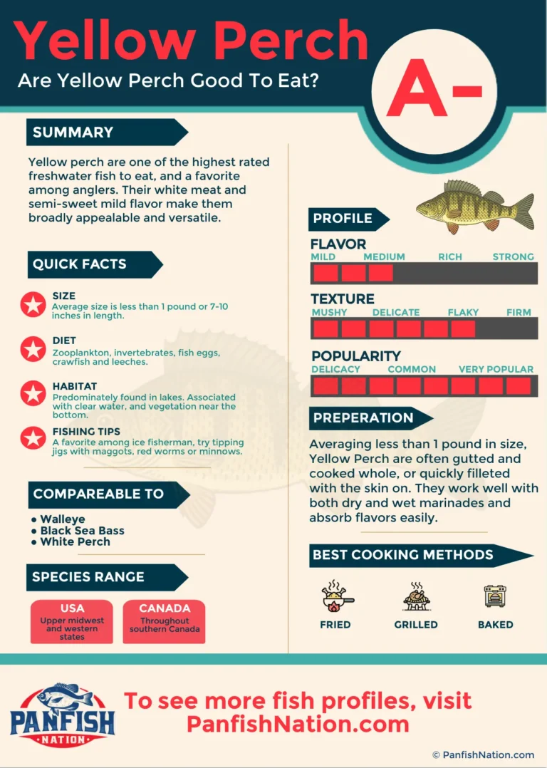 Infographic: "Are Yellow Perch Good To Eat?"