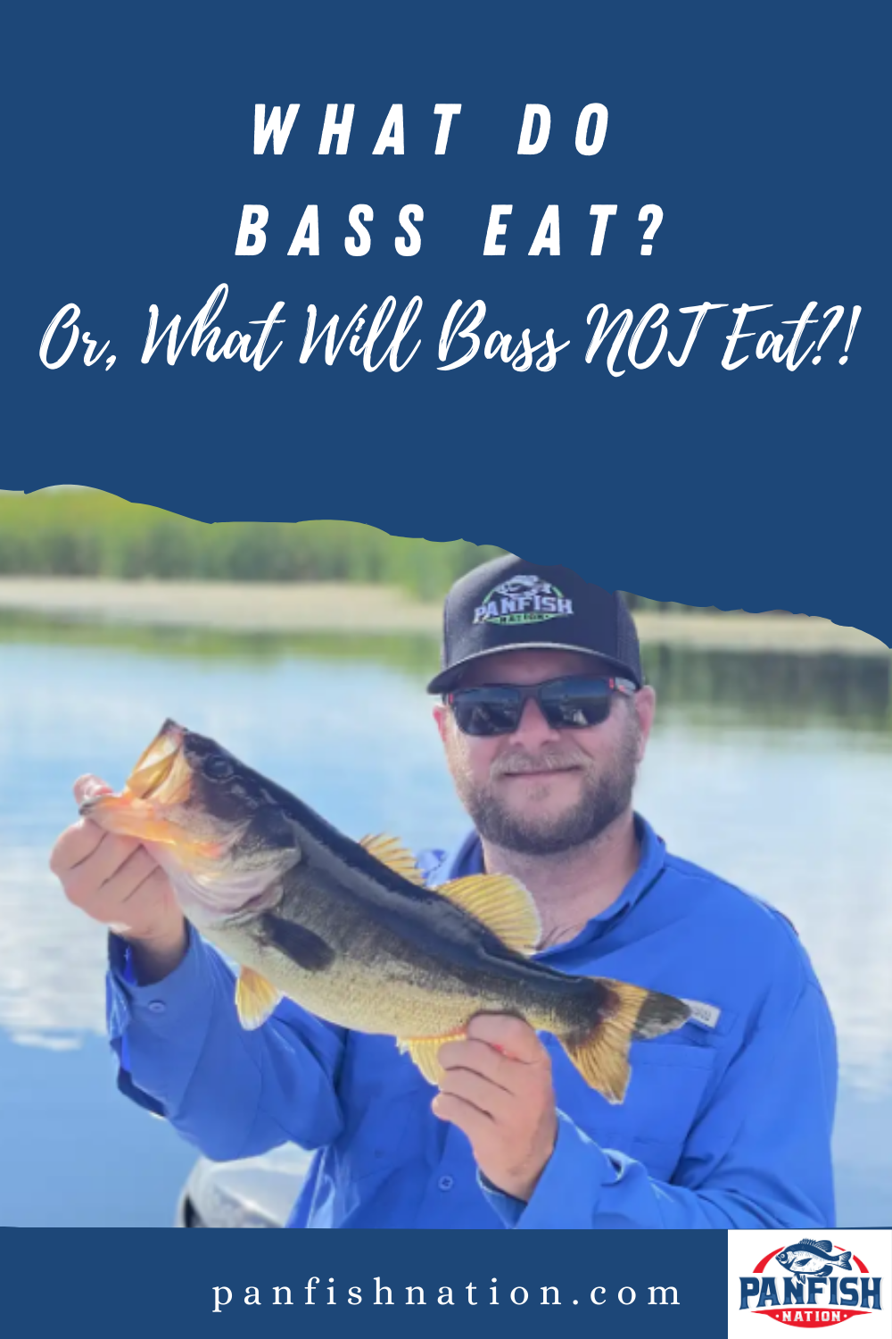 What Do Bass Eat? (Or, What Will Bass NOT Eat?!) • Panfish Nation