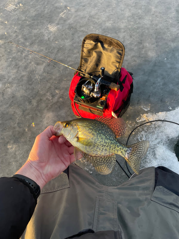 Black Crappie caught with the Vexilar FLX 30 BB