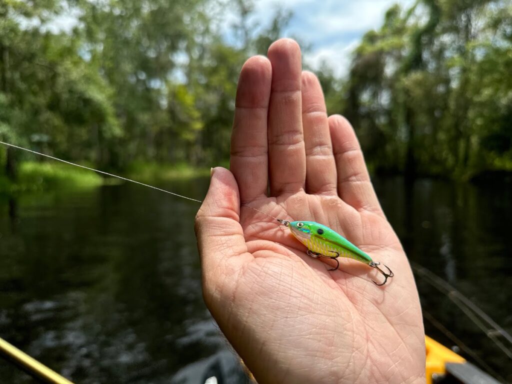 what size hooks for panfish
